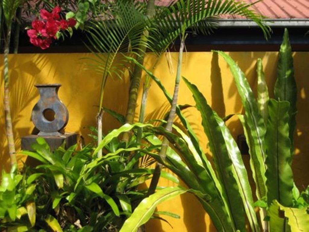 Pink Flamingo Resort Port Douglas Esterno foto