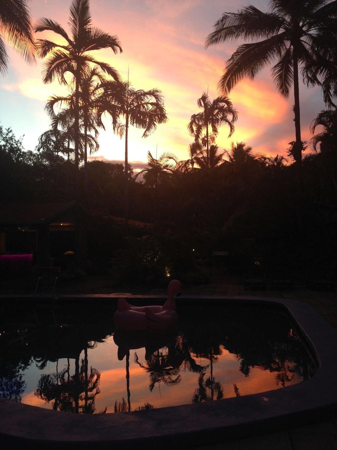 Pink Flamingo Resort Port Douglas Esterno foto