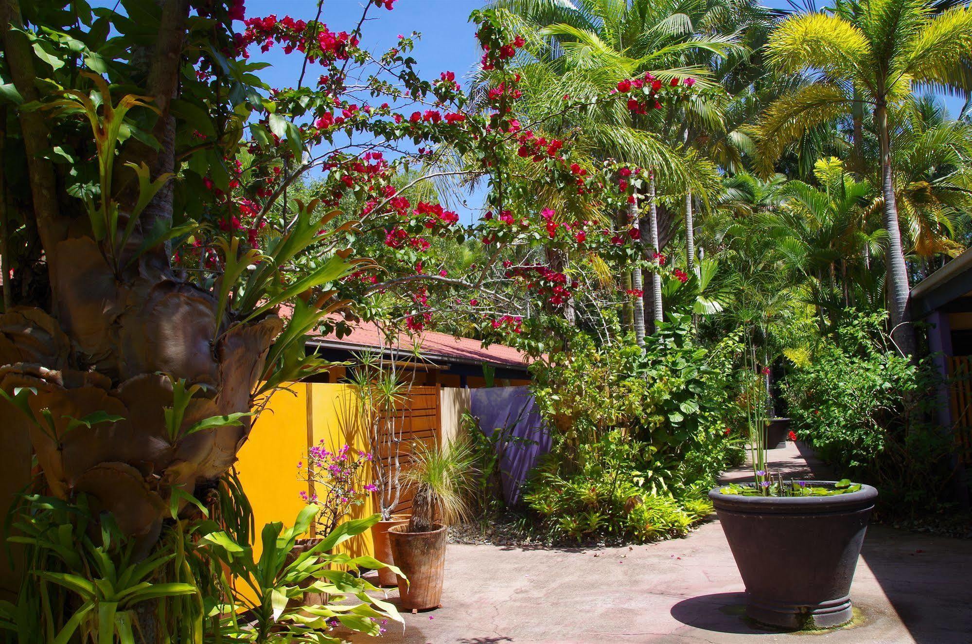 Pink Flamingo Resort Port Douglas Esterno foto